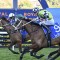 Via Sistina leads home Waller trifecta in Winx Stakes