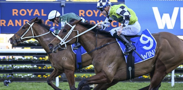 Via Sistina leads home Waller trifecta in Winx Stakes