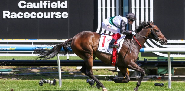 Memsie Stakes Likely Field – 2024