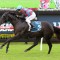 Antino in good order for Memsie Stakes return