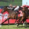 Fawkner Park gets a look at Caulfield