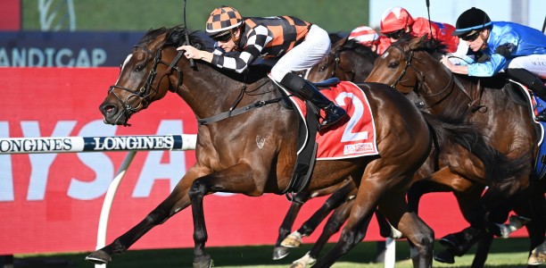 Fawkner Park gets a look at Caulfield