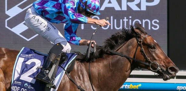 Memsie Stakes 2024 – Field Preview, Odds, Horses, Speed Map and Betting Tips