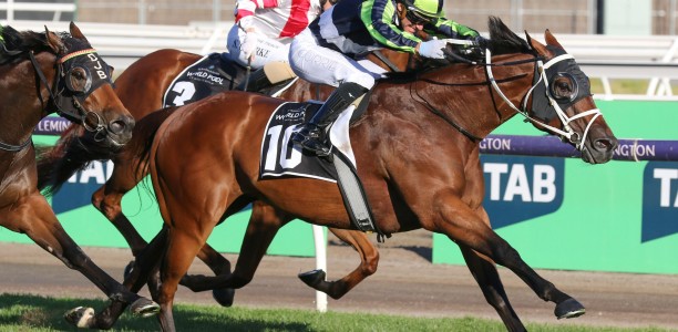 He’s Our Bonneval set to shine in Adelaide