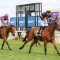 Banker’s Choice takes step towards Caulfield Cup