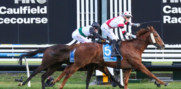 Pinstriped gives Enver Jusufovic first G1 win