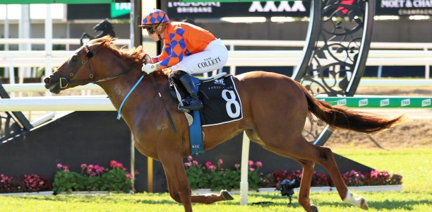 Johnny Rocker set for Moir Stakes return