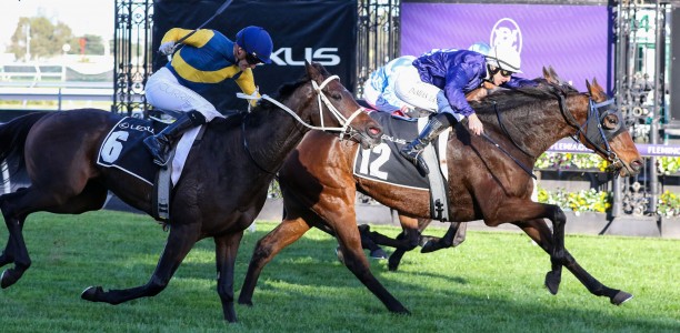 The Map’s Melbourne Cup dream starting to feel real