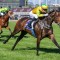 Confident Estriella ready for Moir Stakes test