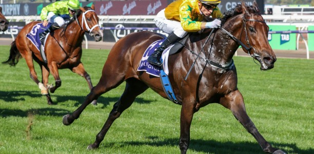 Confident Estriella ready for Moir Stakes test