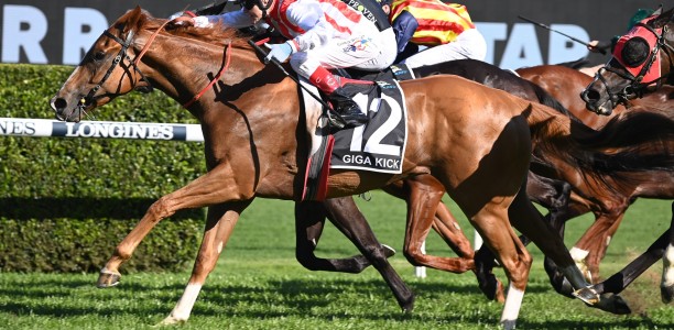 Giga Kick heads early odds for the Concorde Stakes