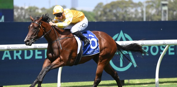 Boom filly crunched to win Moir Stakes