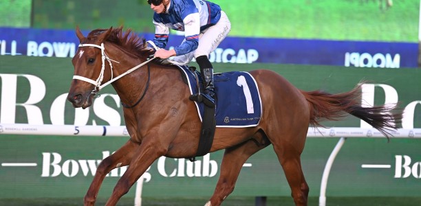 Etna Rosso short odds to win Wyong Cup