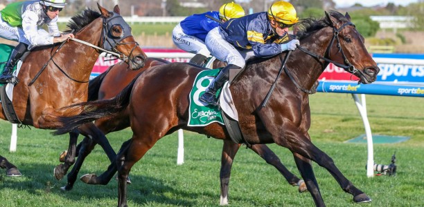 Kid to show Everest credentials at The Valley