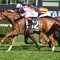 Bookmaker taking on Giga Kick with $6 Special to win Concorde Stakes