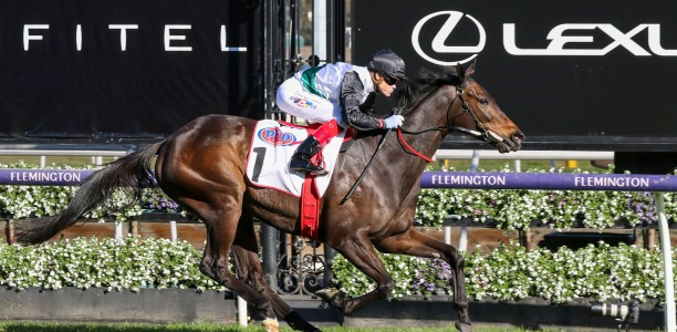 Makybe Diva Stakes Likely Field – 2024