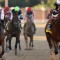 The Breeders’ Cup hits Kentucky Downs