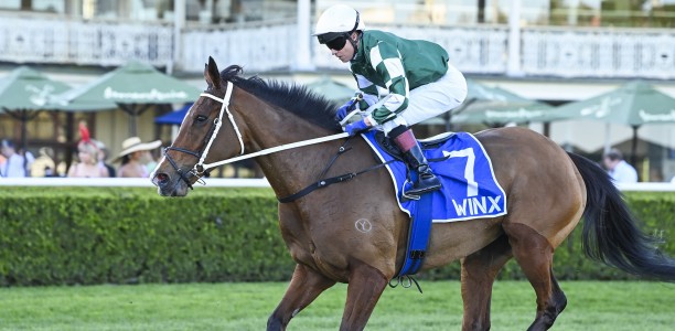 Winx Stakes winner short odds for the Makybe Diva Stakes