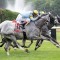 The Grey Wizard secures late entry to Melbourne Cup