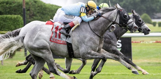 The Grey Wizard secures late entry to Melbourne Cup