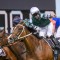 Chris Waller sends three stars to Flemington