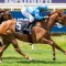 Alsephina Set For Flemington Test