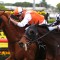 Vow And Declare chases overdue Melbourne win