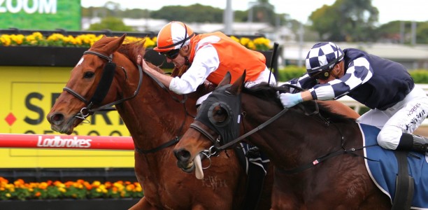 Vow And Declare chases overdue Melbourne win