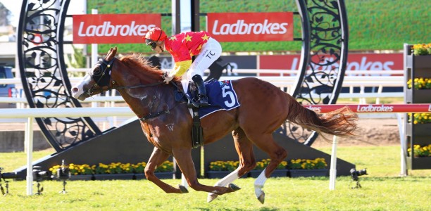 Tulloch Lodge tackles Theo Marks Stakes with Bases Loaded