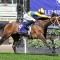 Cloudy chasing Melbourne Cup start at Flemington