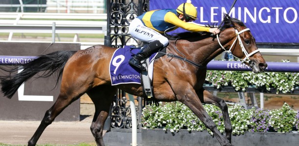 Cloudy chasing Melbourne Cup start at Flemington