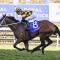 Joliestar could be racing for outright Everest favouritism