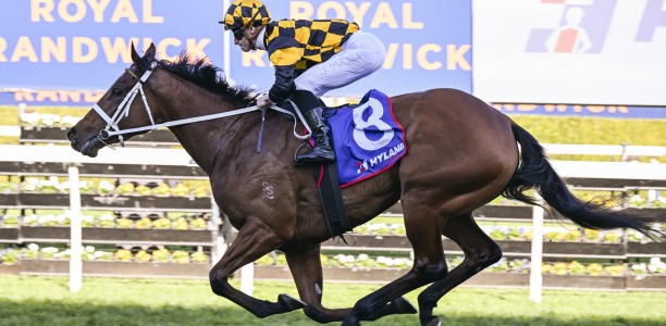 Joliestar could be racing for outright Everest favouritism