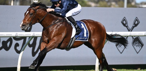 Adrian Bott issues Storm warning for Rosehill