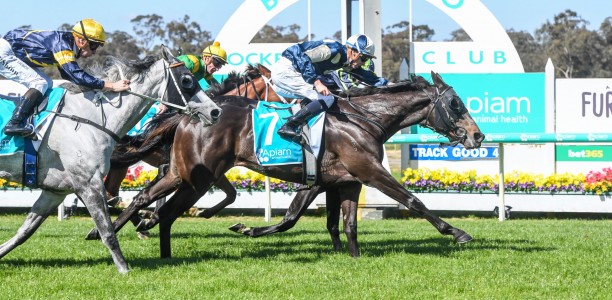 Maher pair chase Golden Ticket into Melbourne Cup