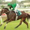 Trainer hoping $2m The Kosciuszko will be Far Too Easy