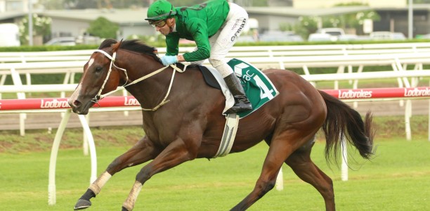 Trainer hoping $2m The Kosciuszko will be Far Too Easy