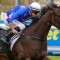 Feroce aiming towards Caulfield Guineas test