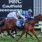 Colin McKenna eyes Cox Plate for Another Wil