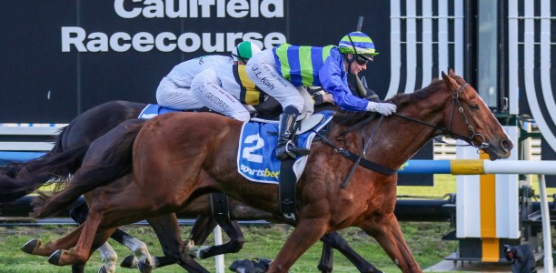 Colin McKenna eyes Cox Plate for Another Wil