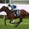 Metropolitan favourite to step out in Kingston Town Stakes