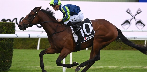 Metropolitan favourite to step out in Kingston Town Stakes