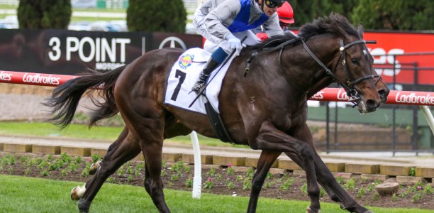 Caulfield Guineas Prelude odds suggest a wide open field