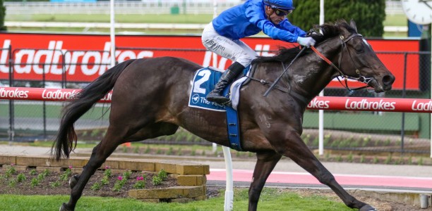 Pericles in fine shape for Underwood Stakes