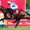 Sosie races into favouritism for the 2024 Prix de l’Arc de Triomphe