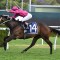 Fangirl to draw on class for Randwick clash