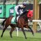 Forecast keeps Duke at Caulfield