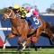 Bookmaker taking on Autumn Glow with $5 Special to win Tea Rose Stakes