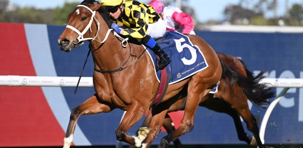 Bookmaker taking on Autumn Glow with $5 Special to win Tea Rose Stakes