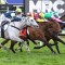 Kiwi mare a Positive Caulfield Cup hope